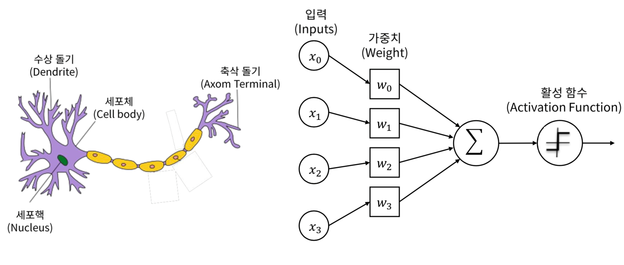 _images/neuron-node1.png