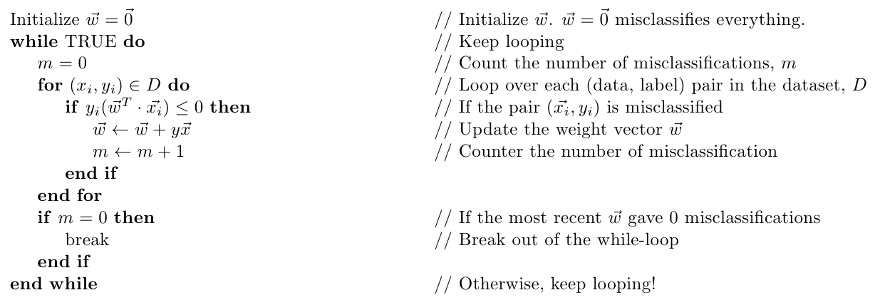 _images/perceptron_algo.png